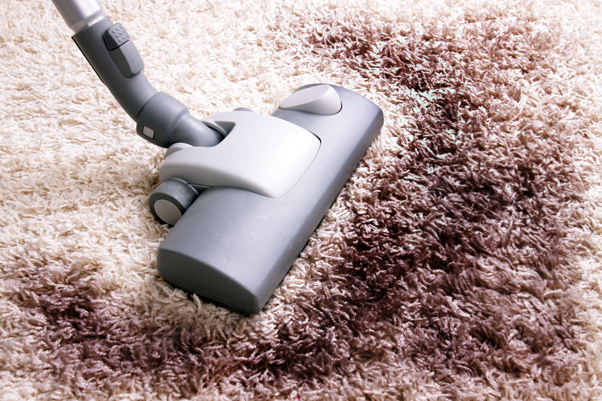 Why Do You Consider Hiring A Carpet Cleaner Park City?